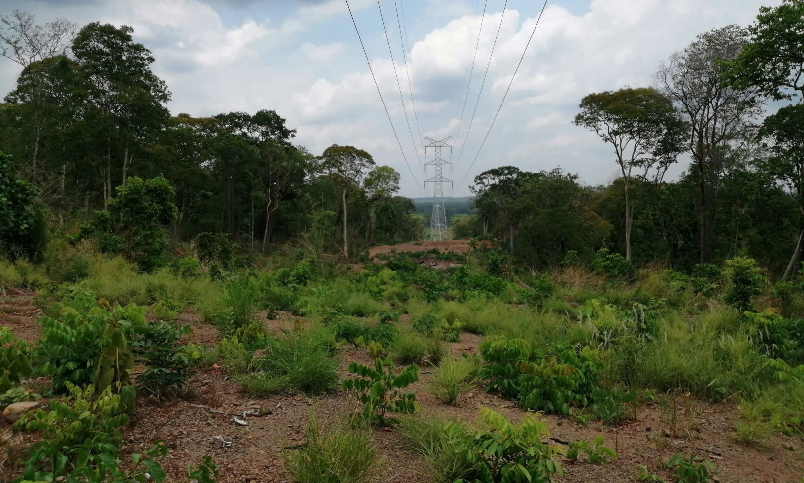 實現(xiàn)帶電運行的桔井—蒙多基里線路采用同塔雙回雙接地，途徑山區(qū)、森林，地形復雜，設備運輸困難。