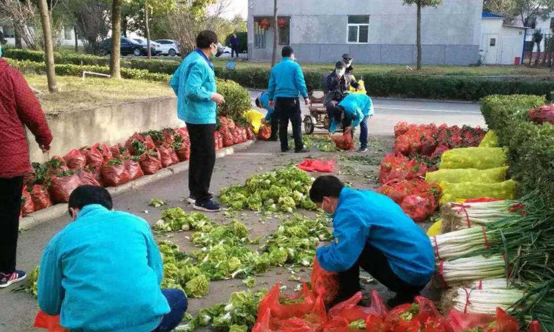 新冠肺炎疫情以來，中光學于細微處創(chuàng)造條件關心關愛員工，為復工人員供應新鮮蔬菜，截至目前先后發(fā)放各類蔬菜共計12萬千克。 